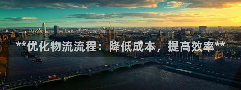 28圈相信品牌的力量：**优化物流流