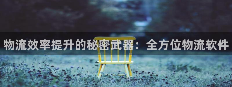 28圈圈助手:物流效率提升的秘密武器