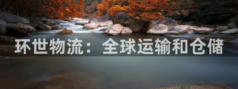 28圈赌博软件正规吗:环世物流:全球