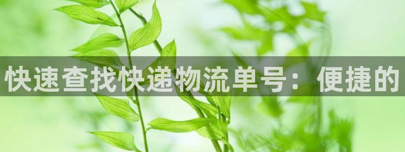 28圈模拟器在线玩：快速查找快递物流