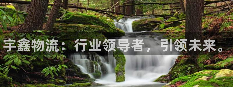 加拿大28圈数字规则：宇鑫物流：行业