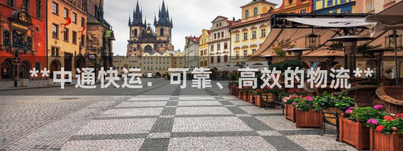 28圈入口问一问：**中通快运：可靠