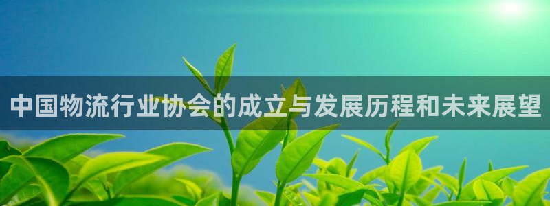 28圈模拟：中国物流行业协会的成立与