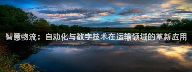 28圈比特28真实吗：智慧物流：自动