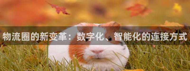 28圈相信品牌的力量：物流圈的新变革