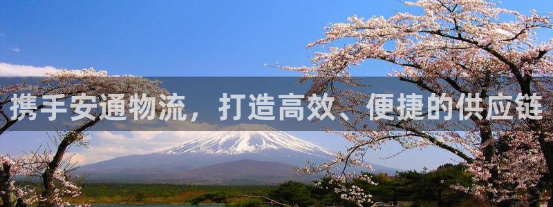 28圈反水什么时候到：携手安通物流，