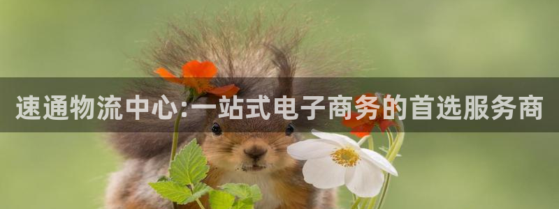 28圈网赌有什么风险：速通物流中心: