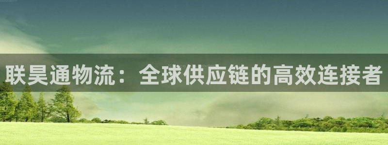 28圈最稳打法：联昊通物流：全球供应