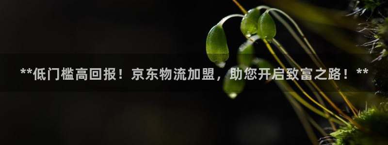 28圈官方官网：**低门槛高回报！京