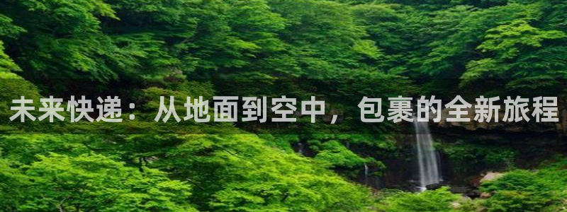 28圈官方平台：未来快递：从地面到空