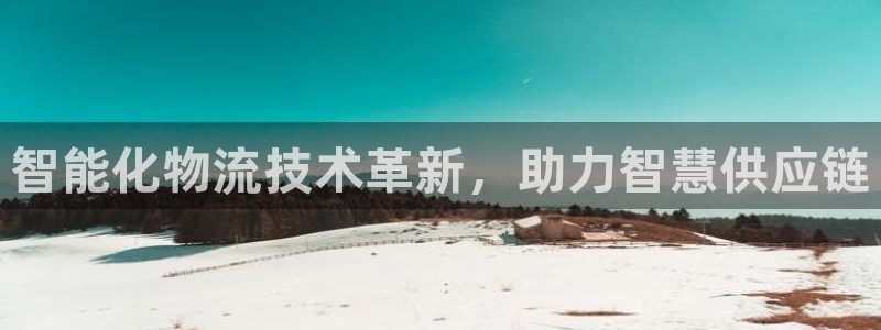 28圈比特28预测在线预测：智能化物