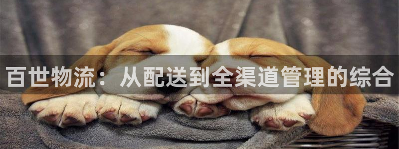 28圈加拿大app预测：百世物流：从