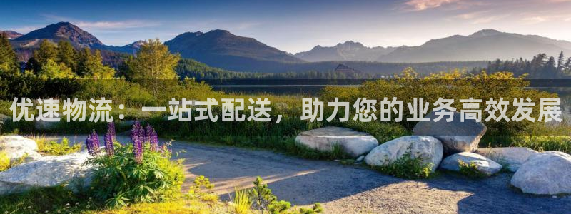 28圈.ccm2024：优速物流：一