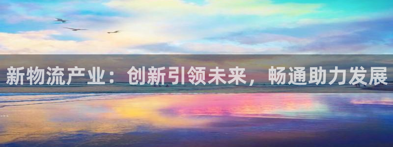 28圈加拿大下载：新物流产业：创新引