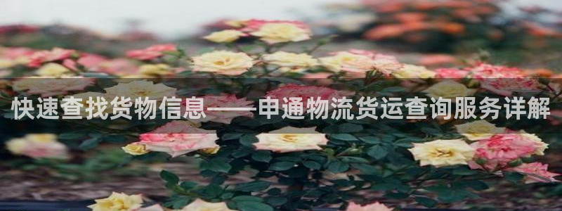 28圈链接：快速查找货物信息——申通