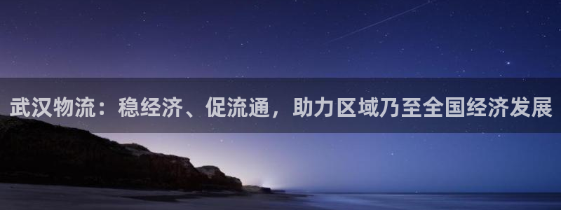 28圈的平台：武汉物流：稳经济、促流