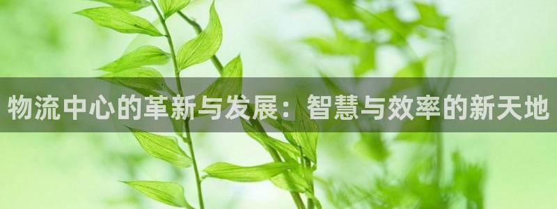 28圈登录网：物流中心的革新与发展：智慧与效率的新天地
