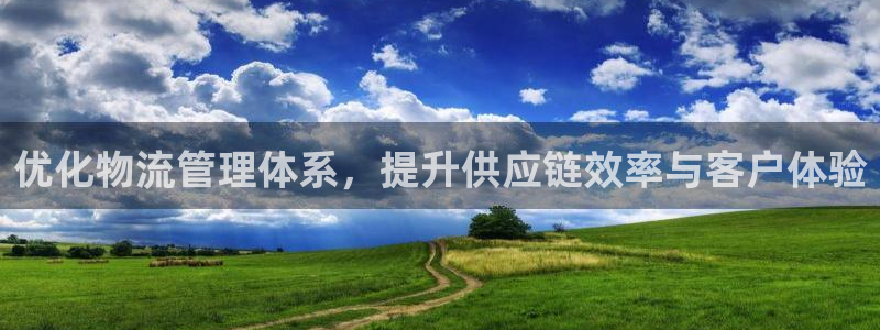 28圈黑钱：优化物流管理体系，提升供