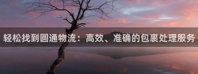 28圈加拿大能提现吗：轻松找到圆通物