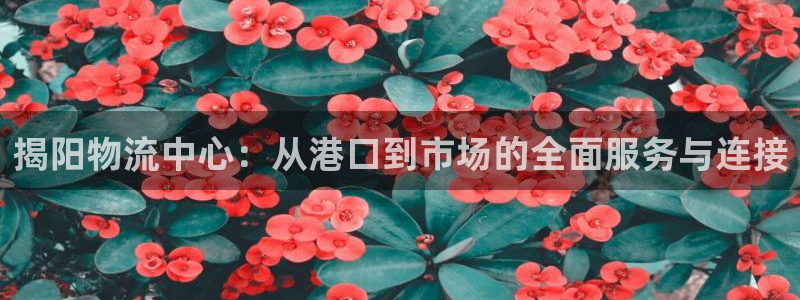 28圈赌博被抓:揭阳物流中心:从港口