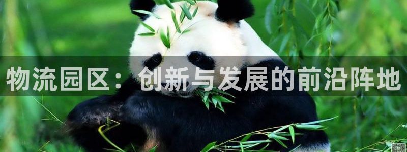 28圈充值为什么充不了：物流园区：创新与发展的前沿阵地