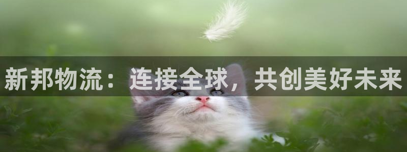 28圈官网平台下载：新邦物流：连接全