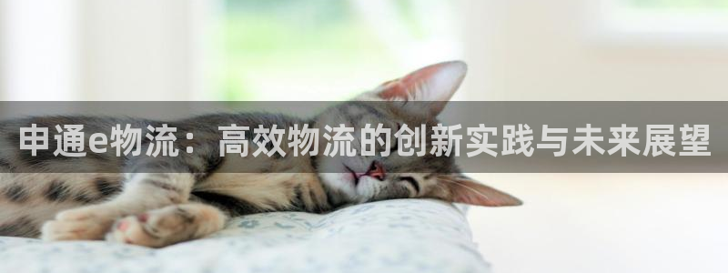 28圈加拿大怎么玩：申通e物流：高效