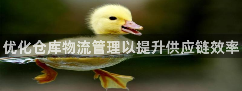 28圈合法吗：优化仓库物流管理以提升