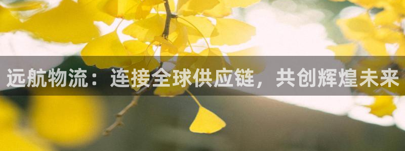 28圈大舞台：远航物流：连接全球供应