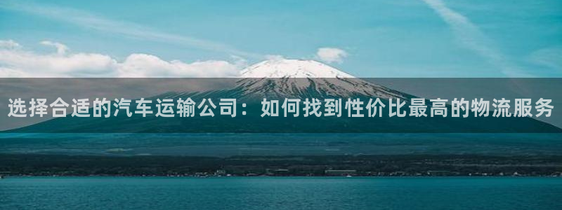 28圈注册网站：选择合适的汽车运输公司：如何找到性价比最高的