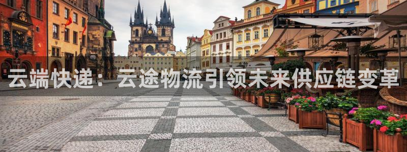 28圈注册二维码