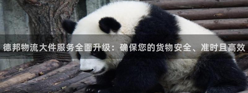 28圈模拟器在线使用