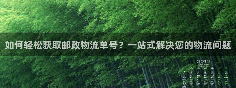 28圈.ccmpc29官网版下载：如何轻松获取邮政物流单号？