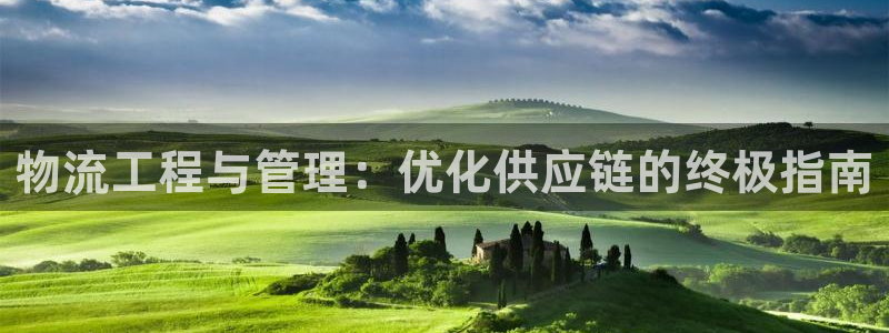 28圈电子：物流工程与管理：优化供应链的终极指南