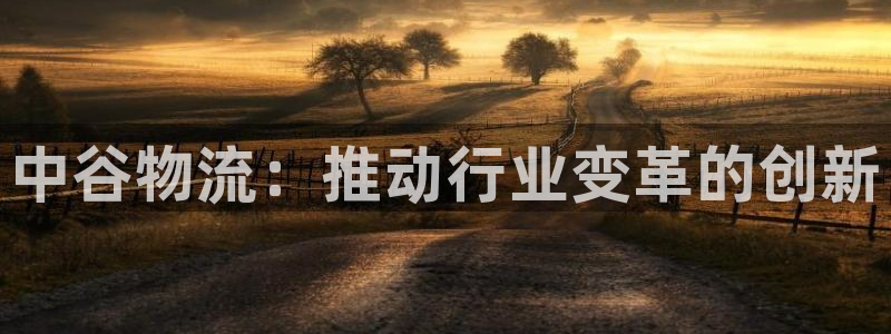 28圈电子：中谷物流：推动行业变革的创新