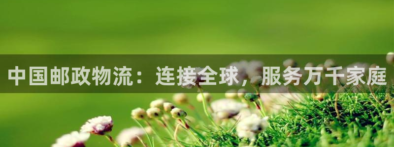 28圈注册与教程：中国邮政物流：连接全球，服务万千家庭