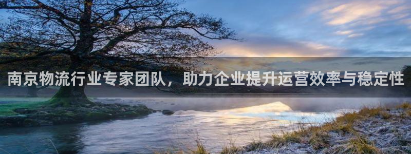 28圈起来的符号：南京物流行业专家团队，助力企业提升运营效率