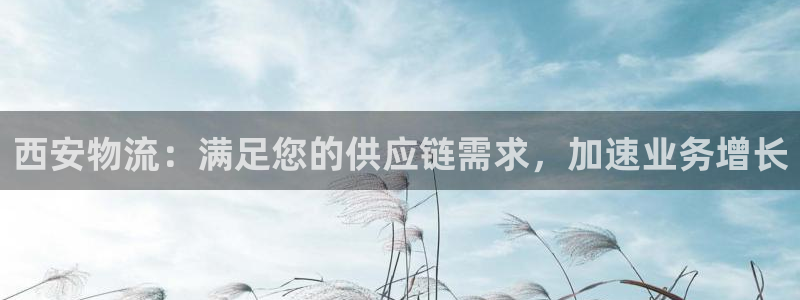 28圈注册网站多少钱