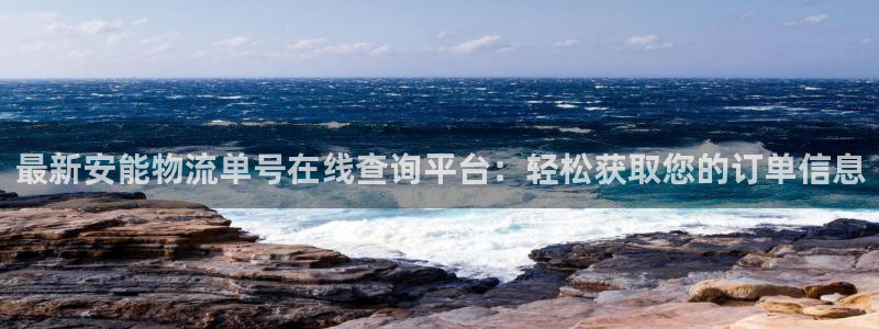 28圈加拿大模拟器：最新安能物流单号在线查询平台：轻松获取您