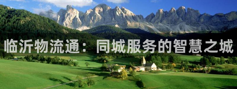 28圈是南宫旗下的吗:临沂物流通:同