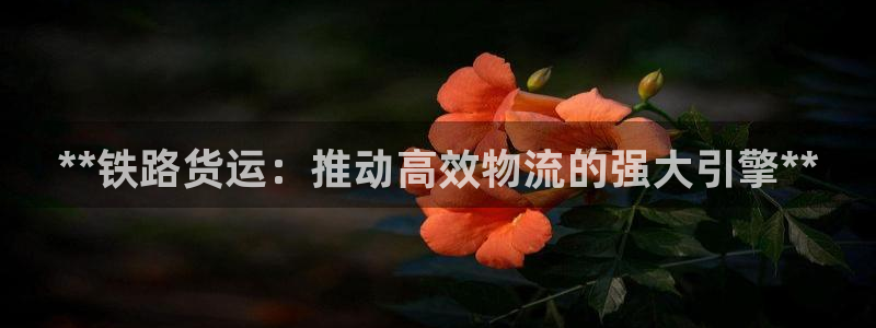 28圈h5链接：**铁路货运：推动高效物流的强大引擎**