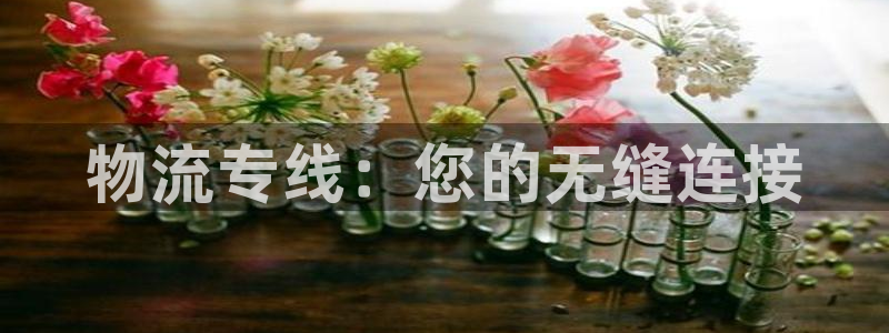 自行车28圈是什么意思:物流专线:您