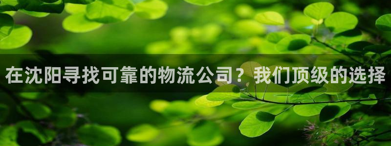 28圈麻将胡了：在沈阳寻找可靠的物流公司？我们顶级的选择