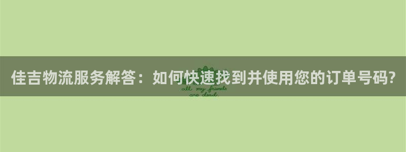 28圈ccm游戏：佳吉物流服务解答：