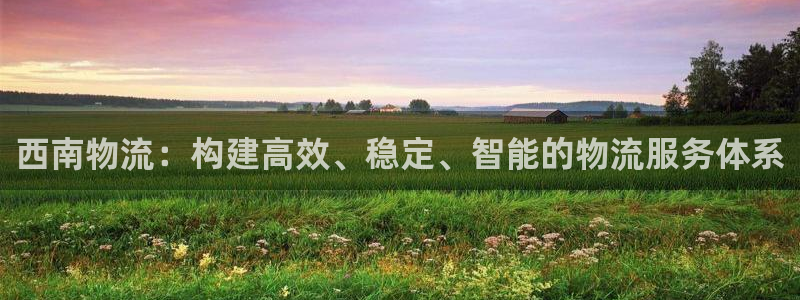 28圈p扣款什么意思