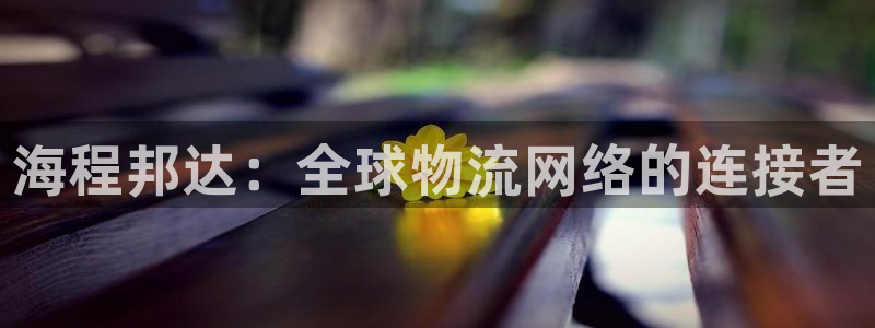 28圈app怎么注销：海程邦达：全球物流网络的连接者