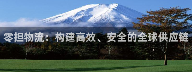 28圈免费充钱：零担物流：构建高效、安全的全球供应链