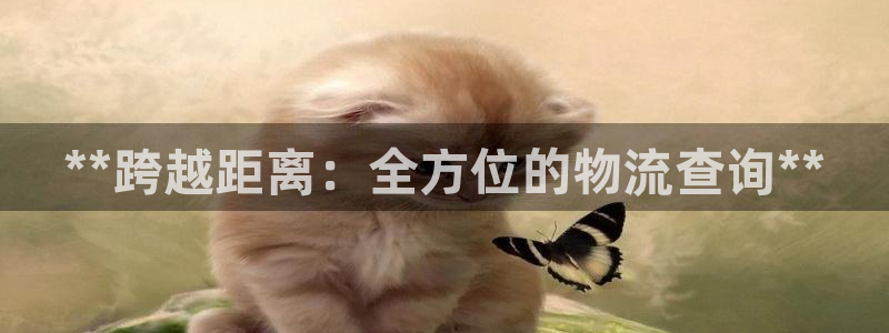 28圈加拿大pc预测