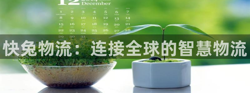 28圈注册用户名是什么