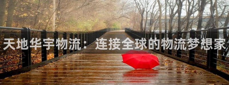 28圈注册网站多少：天地华宇物流：连